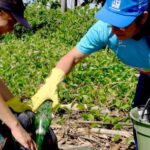 Mutirões de Limpeza na Praia do Porto Novo em Caraguatatuba