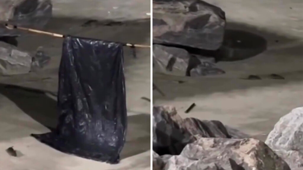 Mongaguá retira pedras da orla após vídeos de ratos viralizarem