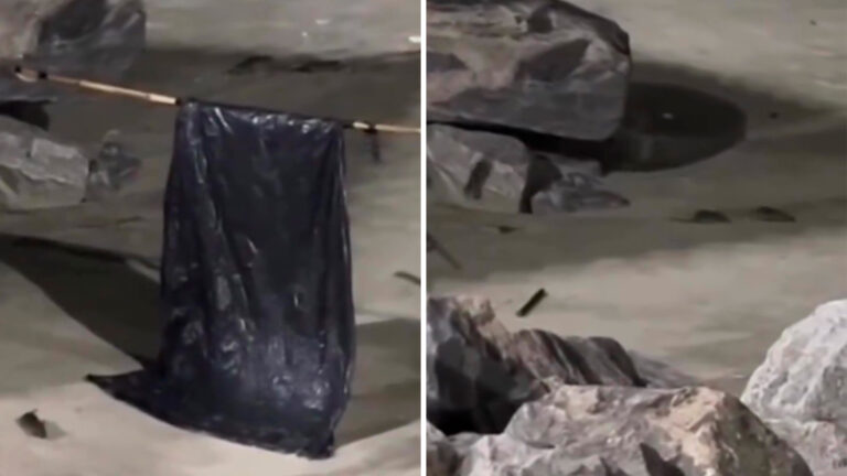 Mongaguá retira pedras da orla após vídeos de ratos viralizarem