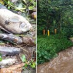 Sabesp multada em R$ 100 mil