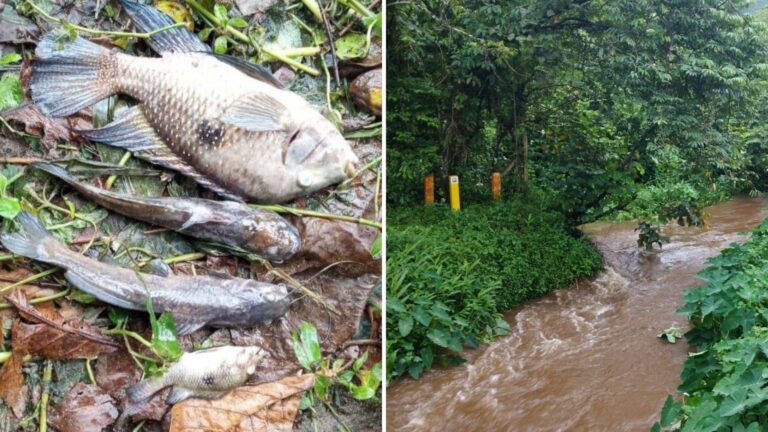 Sabesp multada em R$ 100 mil