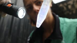 Santos intensifica combate à dengue com mutirão na Vila Mathias