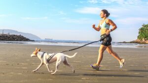 Baixada Santista recebe corrida com cães oficial em abril