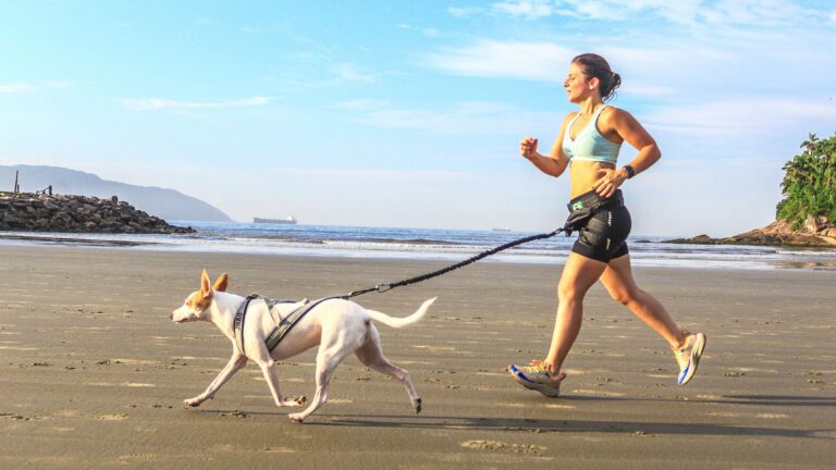 Baixada Santista recebe corrida com cães oficial em abril