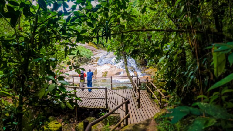 Descubra as Surpresas da Trilha do Guaratuba