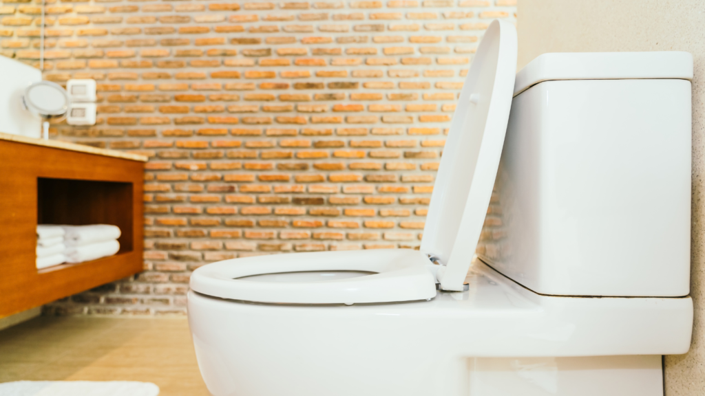 Nova invenção canadense pode aposentar o vaso sanitário como conhecemos