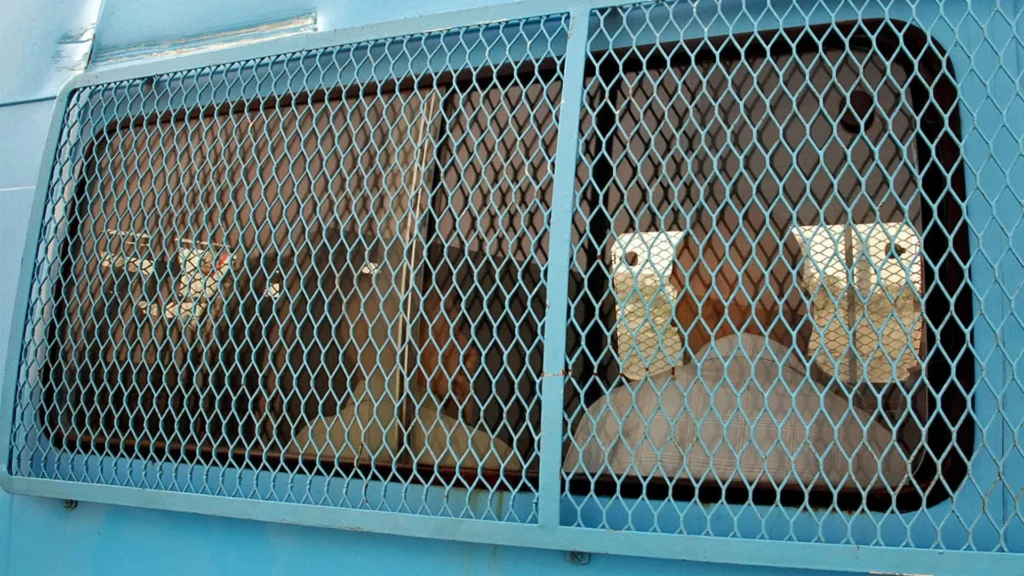 França condena ex-jogadores de rúgbi a longas penas por estupro