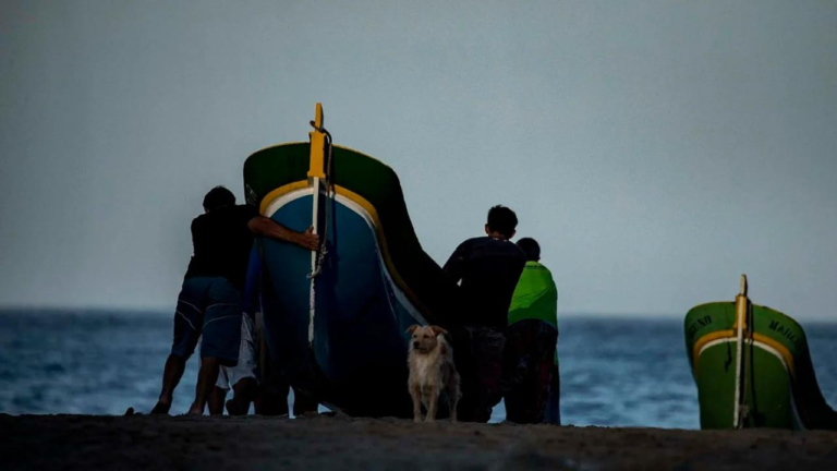 A luz do Bonete depende de todos