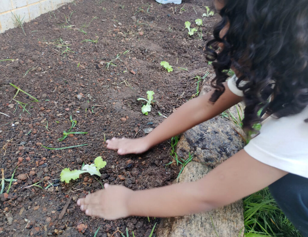 140 Alunos Plantam Hortas para Educação Ambiental em São Sebastião