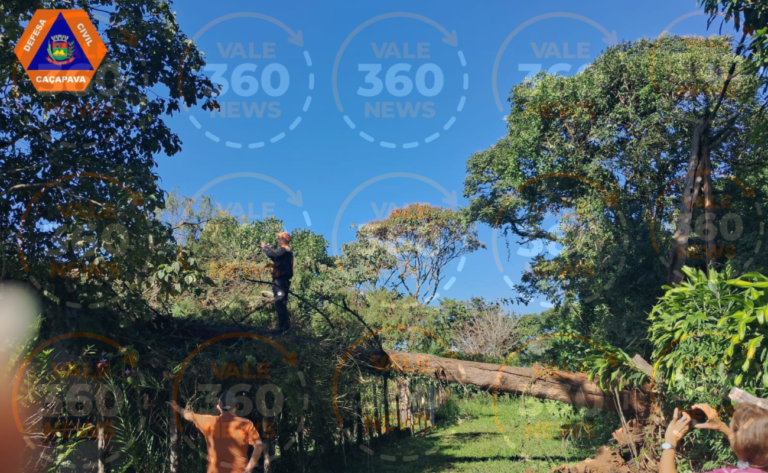 Temporal destrói bairro de Caçapava, deixando árvores caídas