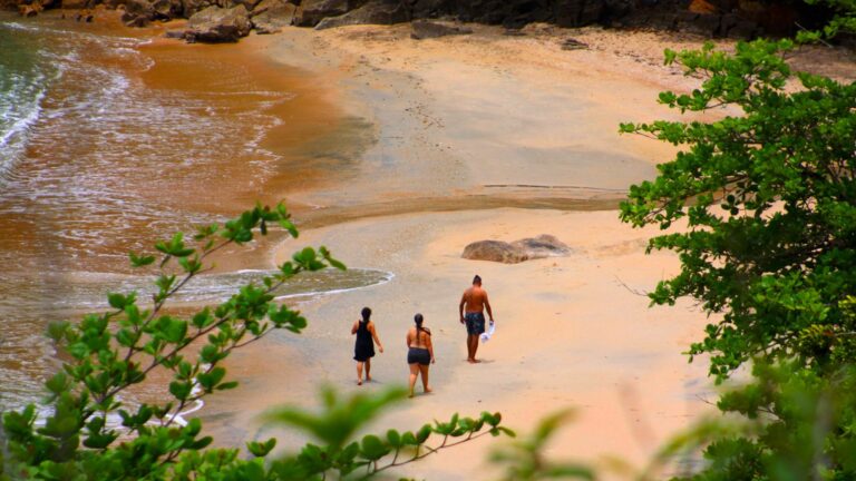 Refúgio selvagem em Ubatuba atrae aventurados por trilha