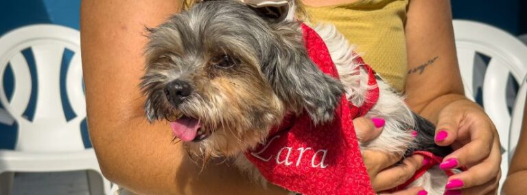 Cachorrinha é resgatada da vala com apoio da população em Caraguatatuba