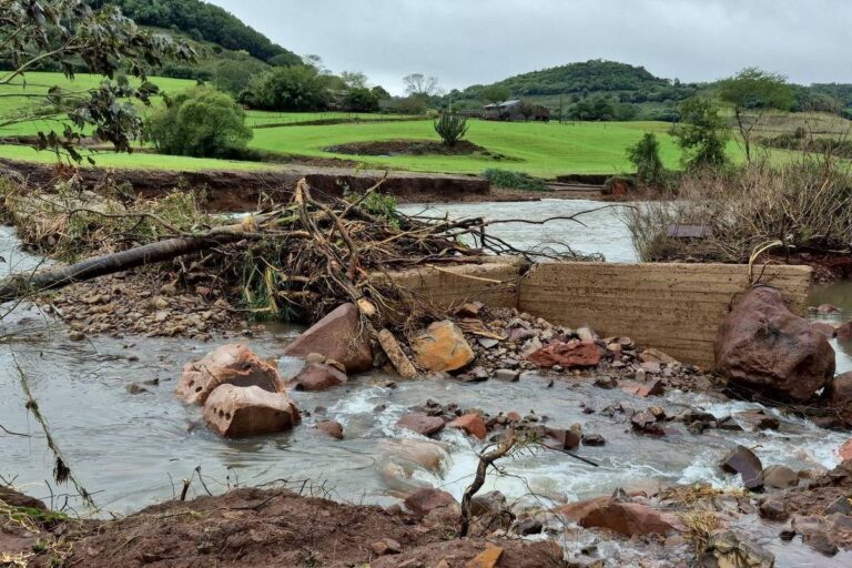 Lavouras da Região Litoral Norte sem proteção em 76% em cinco anos