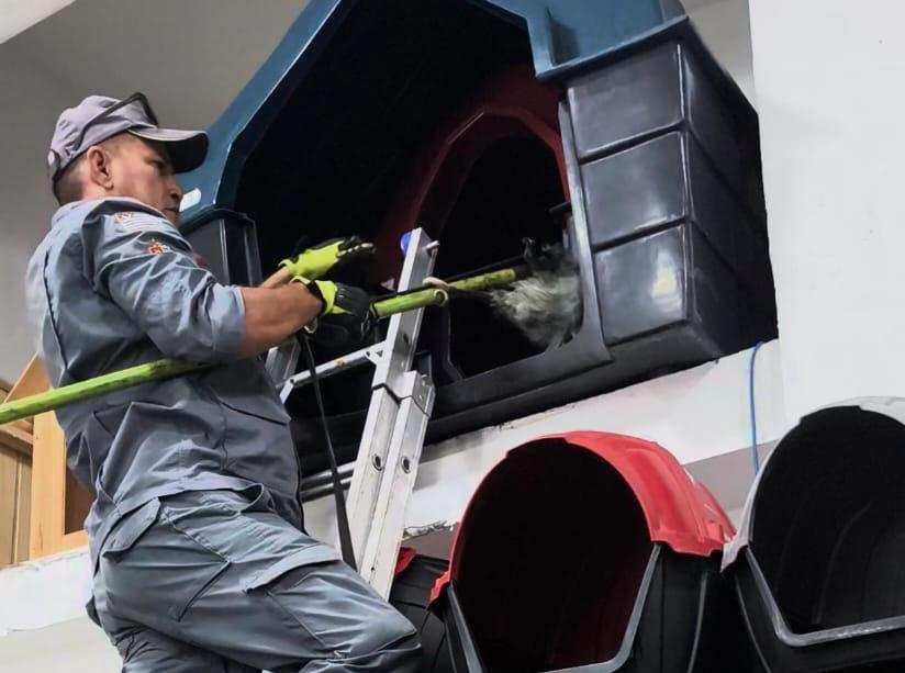 Gambá invade estabelecimento comercial e causa pânico em Ubatuba