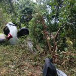 Carro capota e cai em ribanceira na Rodovia Rio-Santos