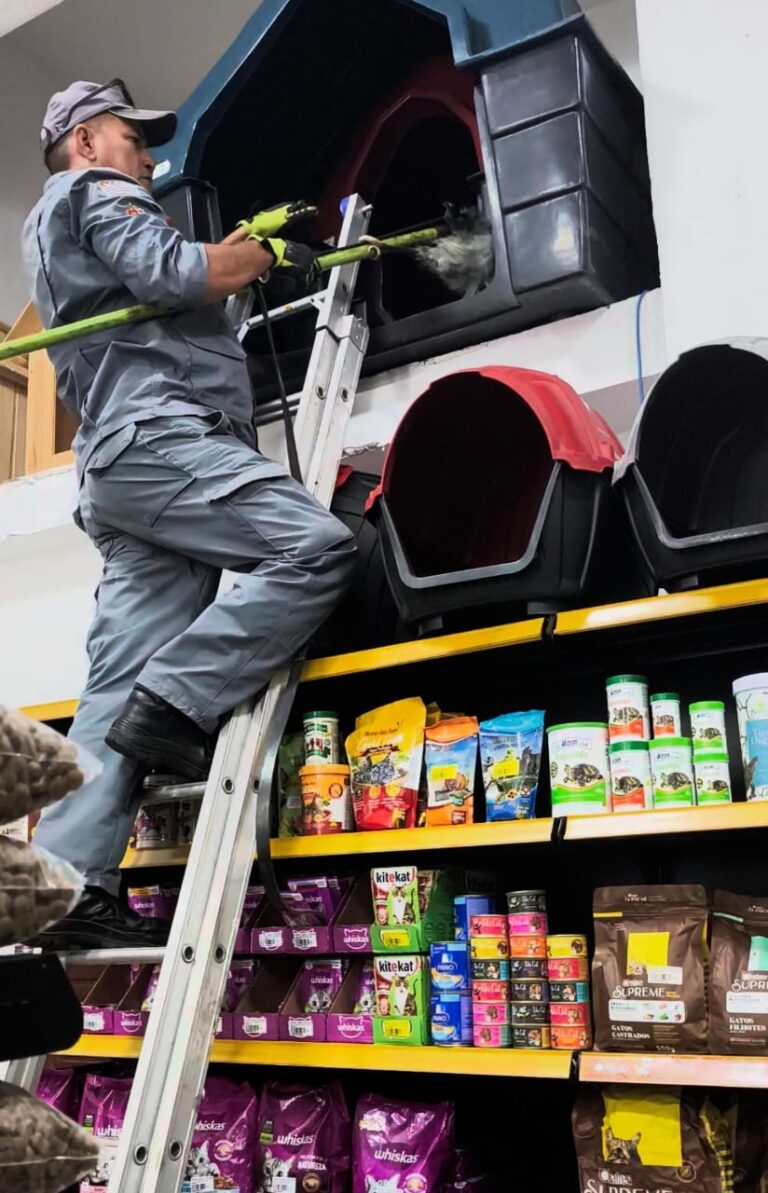 Saruê invade casa de rações em Ubatuba e é resgatado em 20 minutos