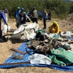 Litoral Norte WEB 8 h · São Sebastião remove 924 kg de resíduos do Mangue do Colhereiro e reforça preservação * Ver mais Todas as reações: 1