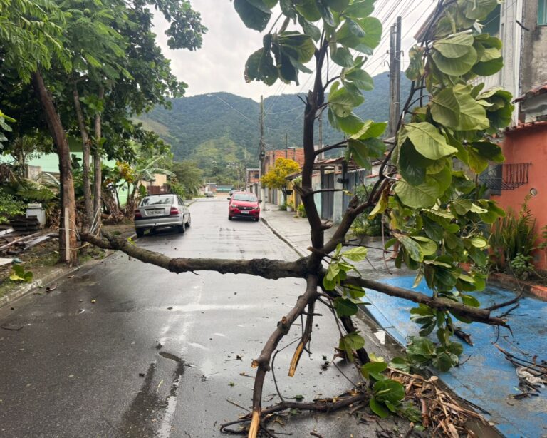 Rajadas de vento mobilizam equipes na madrugada deste sábado