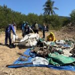 São sebastião remove resíduos do mangue