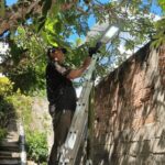 Ilhabela recupera pontos de iluminação danificados