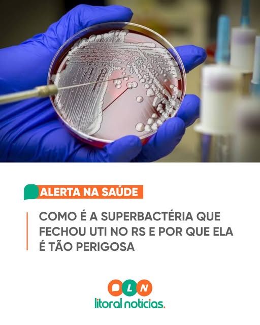 Bactéria identificada em uti neonatal