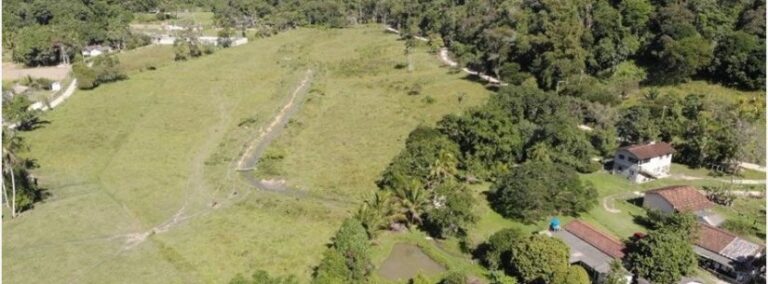 Caraguatatuba intensifica fiscalização ambiental e autua infrações