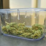 Polícia apreende 60 mil microtubos em Ubatuba