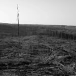 Prefeitura de São Sebastião apreende materiais em área