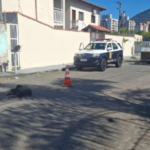 Motorista culpa problema mecânico ao arrastar cachorro
