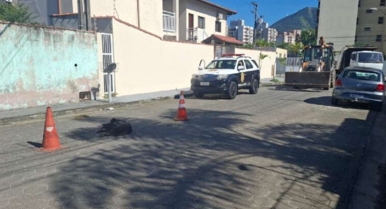 Motorista culpa problema mecânico ao arrastar cachorro