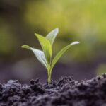 Bertioga promove Semana da Compostagem nas escolas