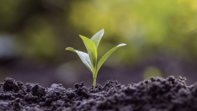 Bertioga promove Semana da Compostagem nas escolas