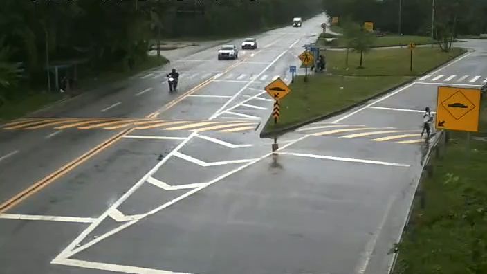 Tráfego moderado na rodovia Rio-Santos