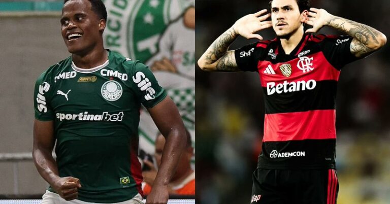 Palmeiras e Flamengo se enfrentam no Brasileirão