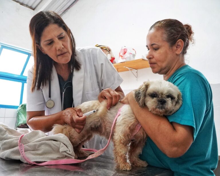 São Sebastião retoma vacinação antirrábica após regularização de doses