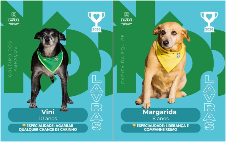Cães viram figurinhas em campanha de adoção