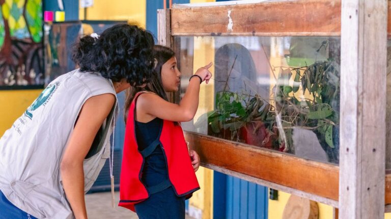 Bertioga realiza minicurso de vida marinha para crianças
