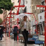 Museu do Ipiranga apresenta exposição sobre a história