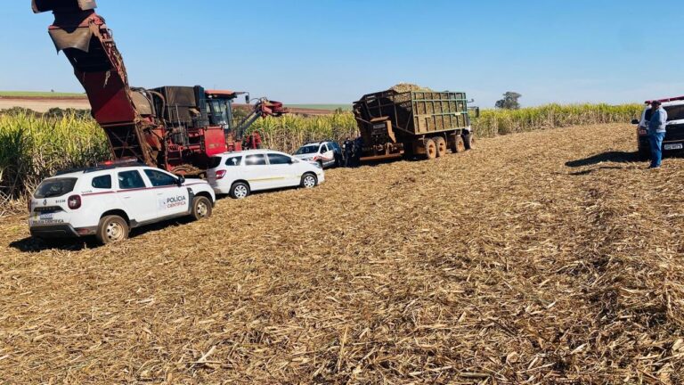 Corpo em decomposição é encontrado em canavial de Conchal
