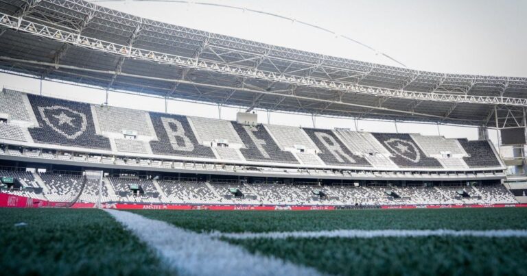 Botafogo e Santos retornam ao Brasileirão