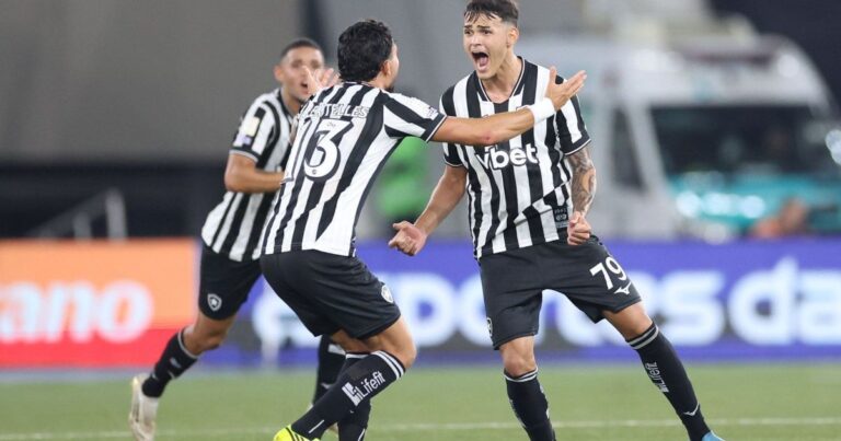 Botafogo vence Santos com falha bizarra