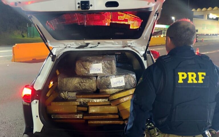 PRF apreende 239 kg de maconha em mudança