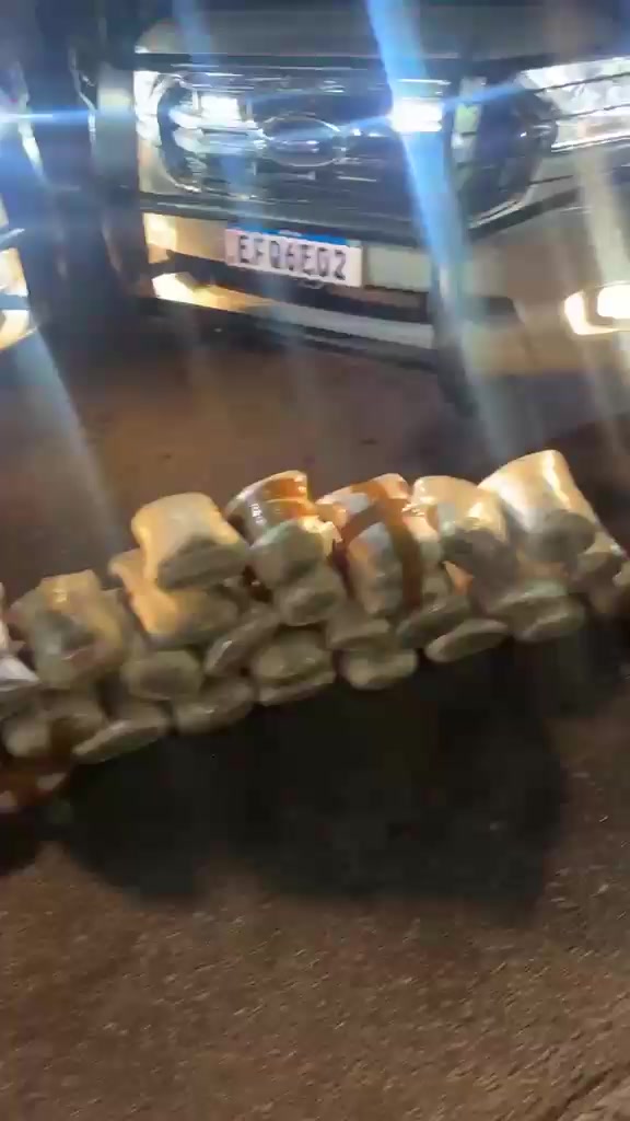 Polícia apreende 74 tijolos de maconha em ônibus