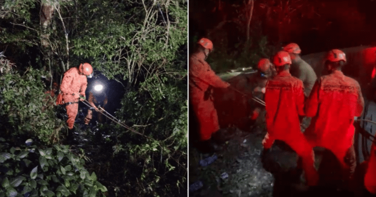 Corpo de cozinheira desaparecida em Ubatuba é encontrado