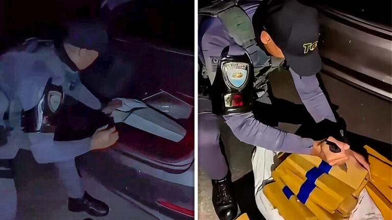 Polícia apreende 30kg de maconha na rodovia