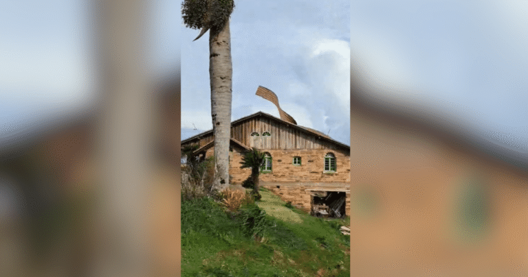 Vento arranca telhado de casa no Rio