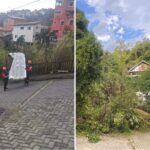 Ilhabela finaliza limpeza após ventos fortes