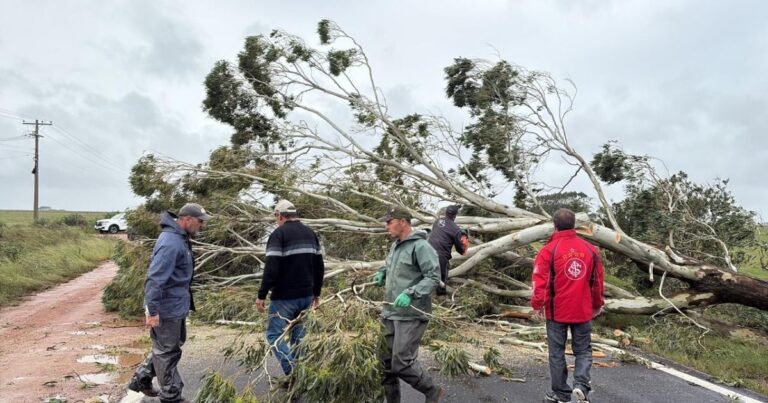 Ventos de 70 km/h atingem Sul nesta sexta