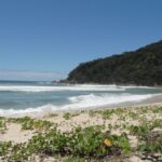 Praia Brava do Camburi oferece trilha e natureza preservada
