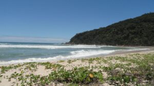Praia Brava do Camburi oferece trilha e natureza preservada